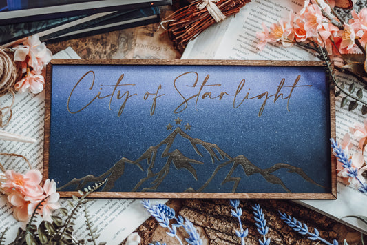 Shelfie - City of Starlight