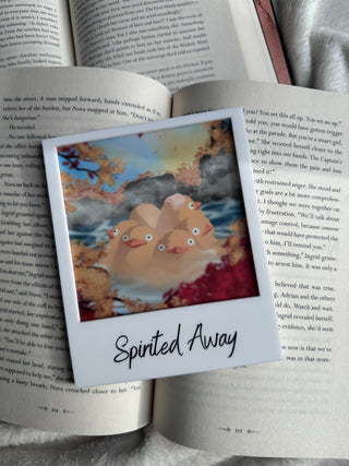Spirited Away Polaroids